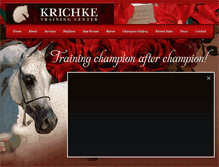 Tablet Screenshot of krichke.com